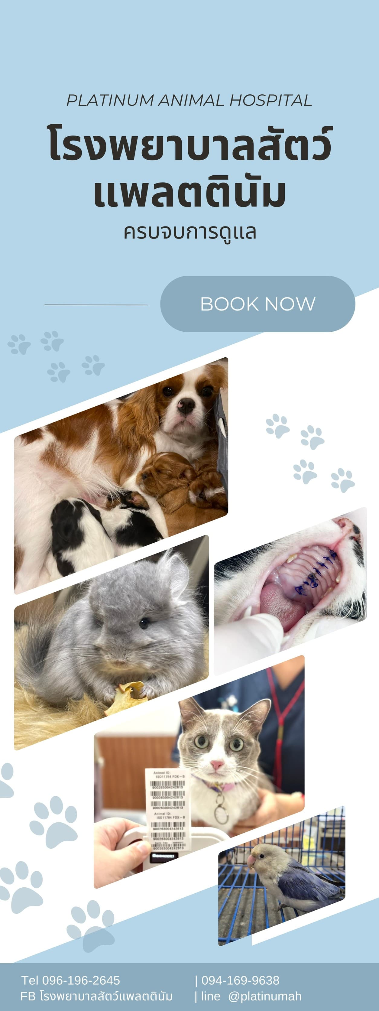 bannermobile-1